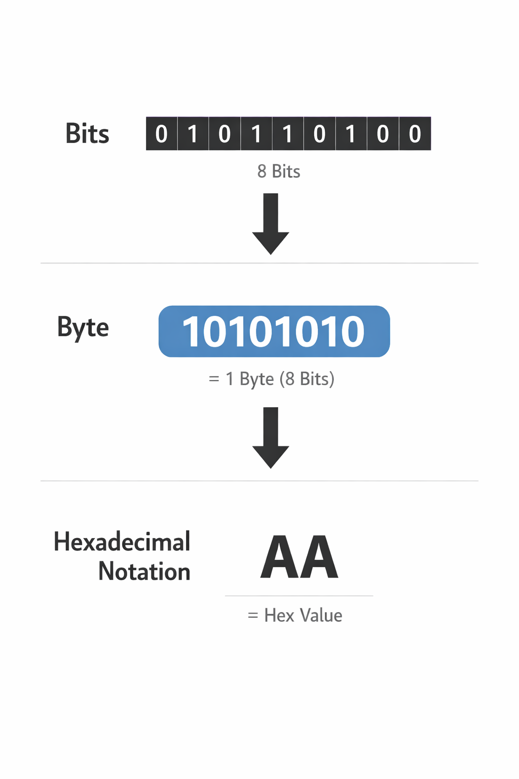 Bity, bajty i zapis HEX (poglądowa grafika)